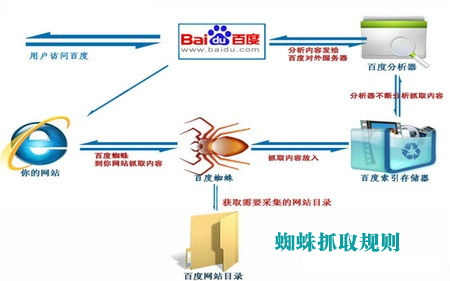 百度蜘蛛抓取,百度收錄規(guī)則